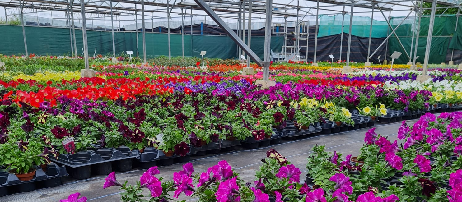 Supplying both individual customers and many businesses across the Fylde Coast