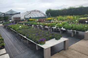 Plants for Every Garden